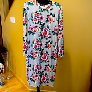NWT Zara dress, size XL